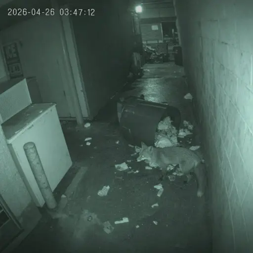 廉价 720p 监控摄像头的画面，左上角时间戳「2026-04-26 03:47:12」，画面带有压